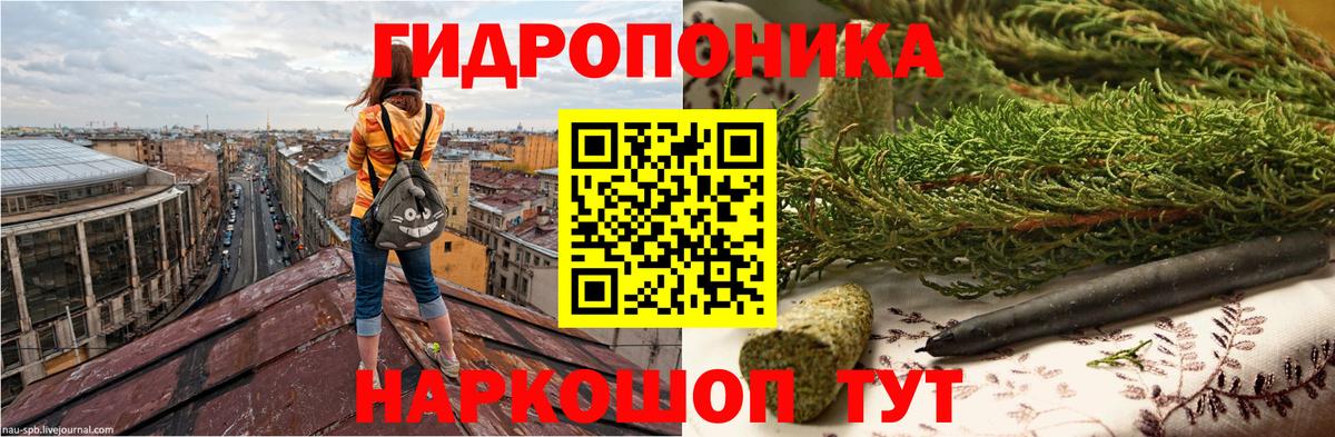 Конопля OG Kush Аксай